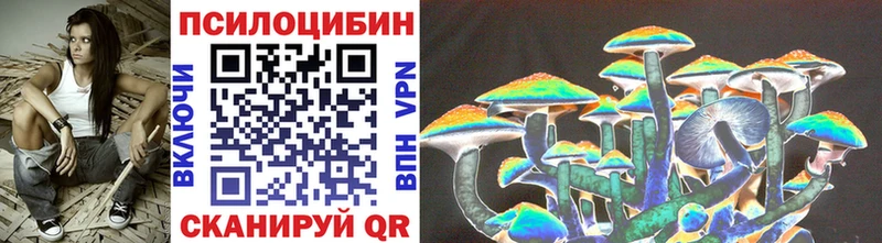 Галлюциногенные грибы Psilocybe наркошоп Кяхта