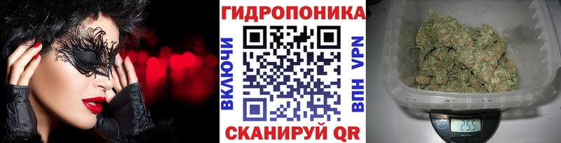 Шишки марихуана марихуана  что такое   kraken зеркало  Кяхта 